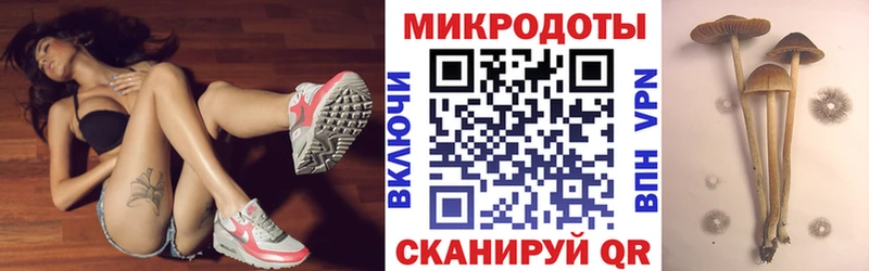 Галлюциногенные грибы Magic Shrooms  купить наркотик  Спас-Клепики 